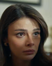 Смотреть онлайн Далекий город 33 серия