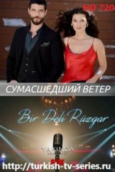 Сумасшедший ветер турецкий сериал