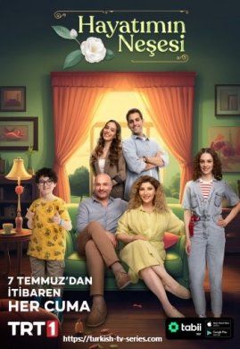 Радость моей жизни турецкий сериал